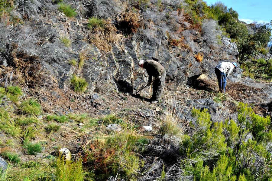 Fotos: Hacendera en el valle del Oza