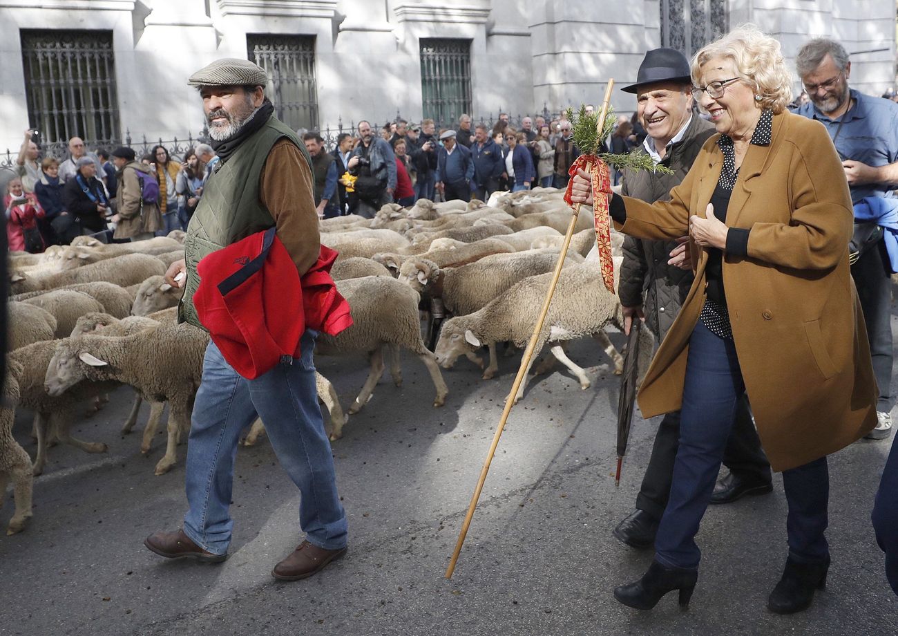 Imagen de la trashumancia a su paso por Madrid capital tras iniciar su camino en Picos de Europa