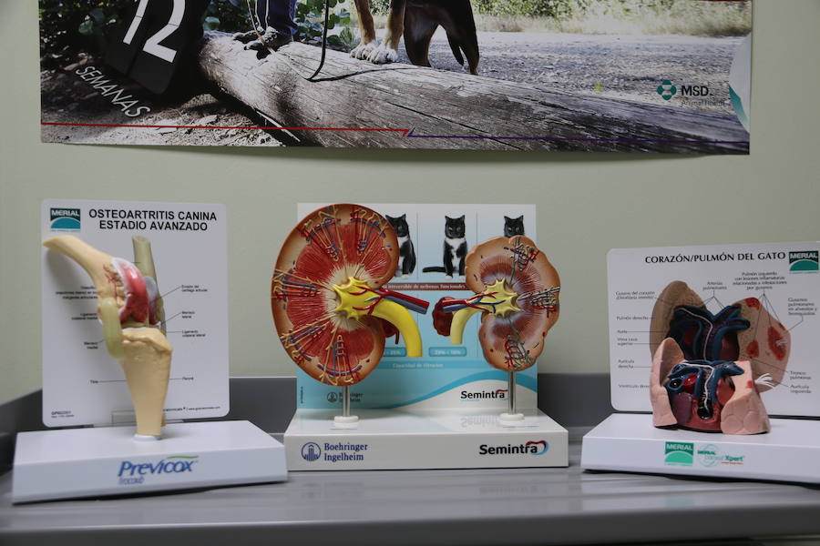 Fotos: Agrovet inaugura su nuevo Hospital Clínico Veterinario