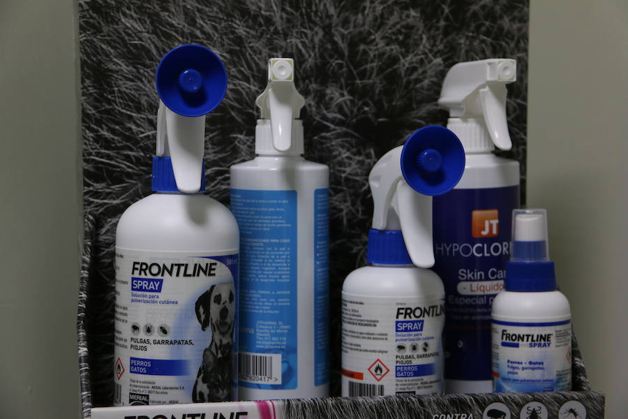 Fotos: Agrovet inaugura su nuevo Hospital Clínico Veterinario