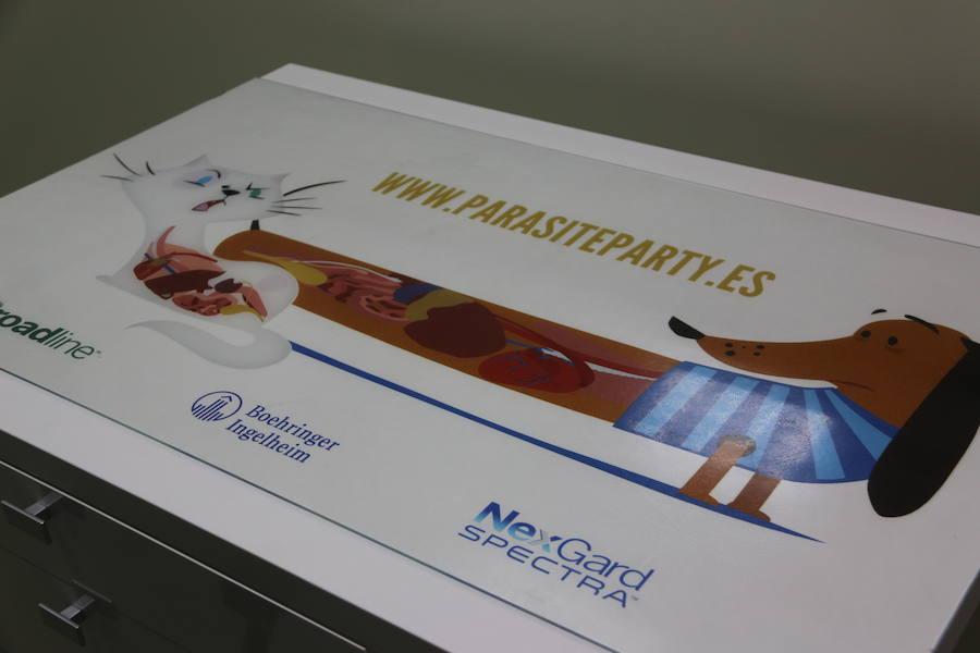 Fotos: Agrovet inaugura su nuevo Hospital Clínico Veterinario