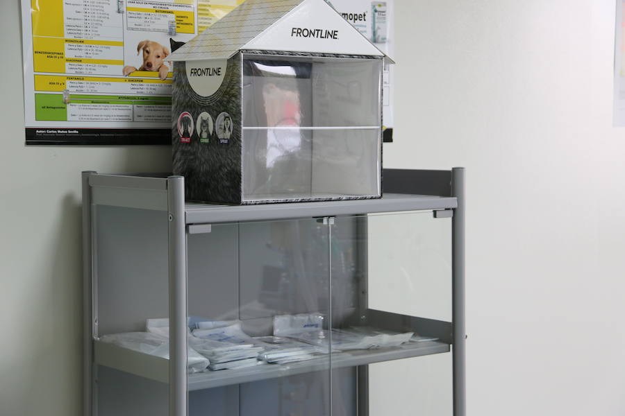 Fotos: Agrovet inaugura su nuevo Hospital Clínico Veterinario