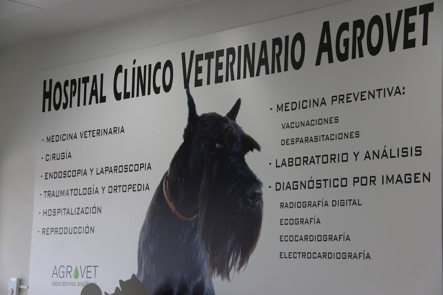 Fotos: Agrovet inaugura su nuevo Hospital Clínico Veterinario