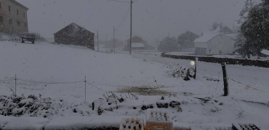 Fotos: La nieve complica la circulación de Pajares, el Huerna y Somiedo