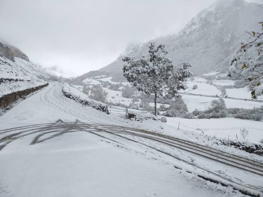 Fotos: La nieve complica la circulación de Pajares, el Huerna y Somiedo