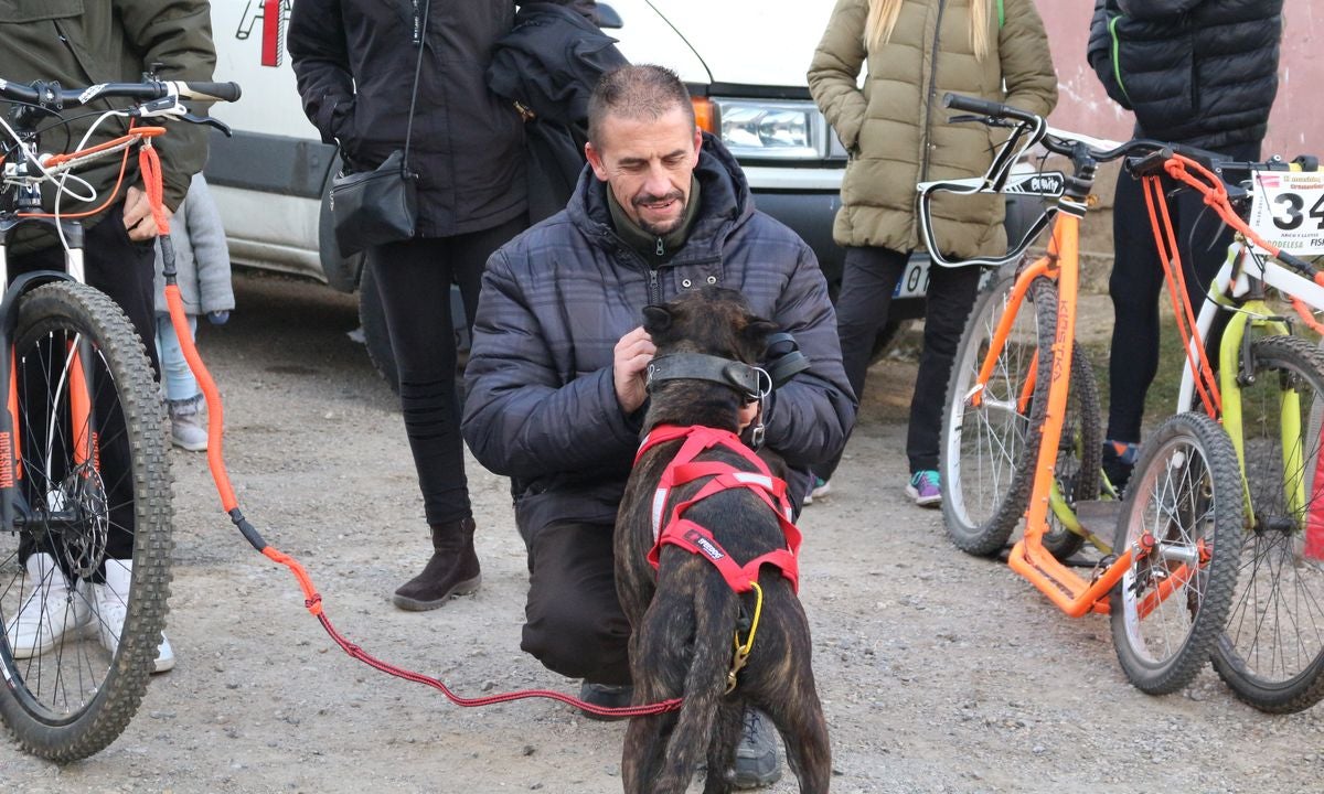 Fotos: Valdefresno vive el mushing