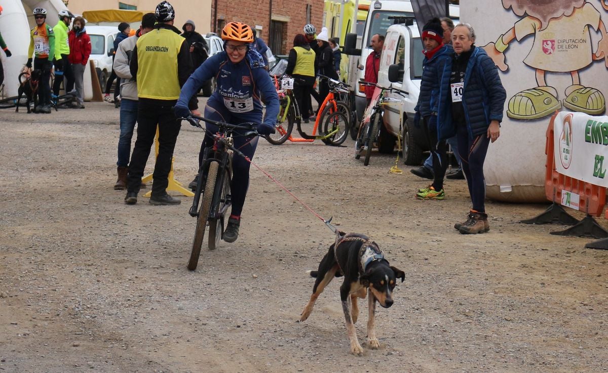 Fotos: Valdefresno vive el mushing