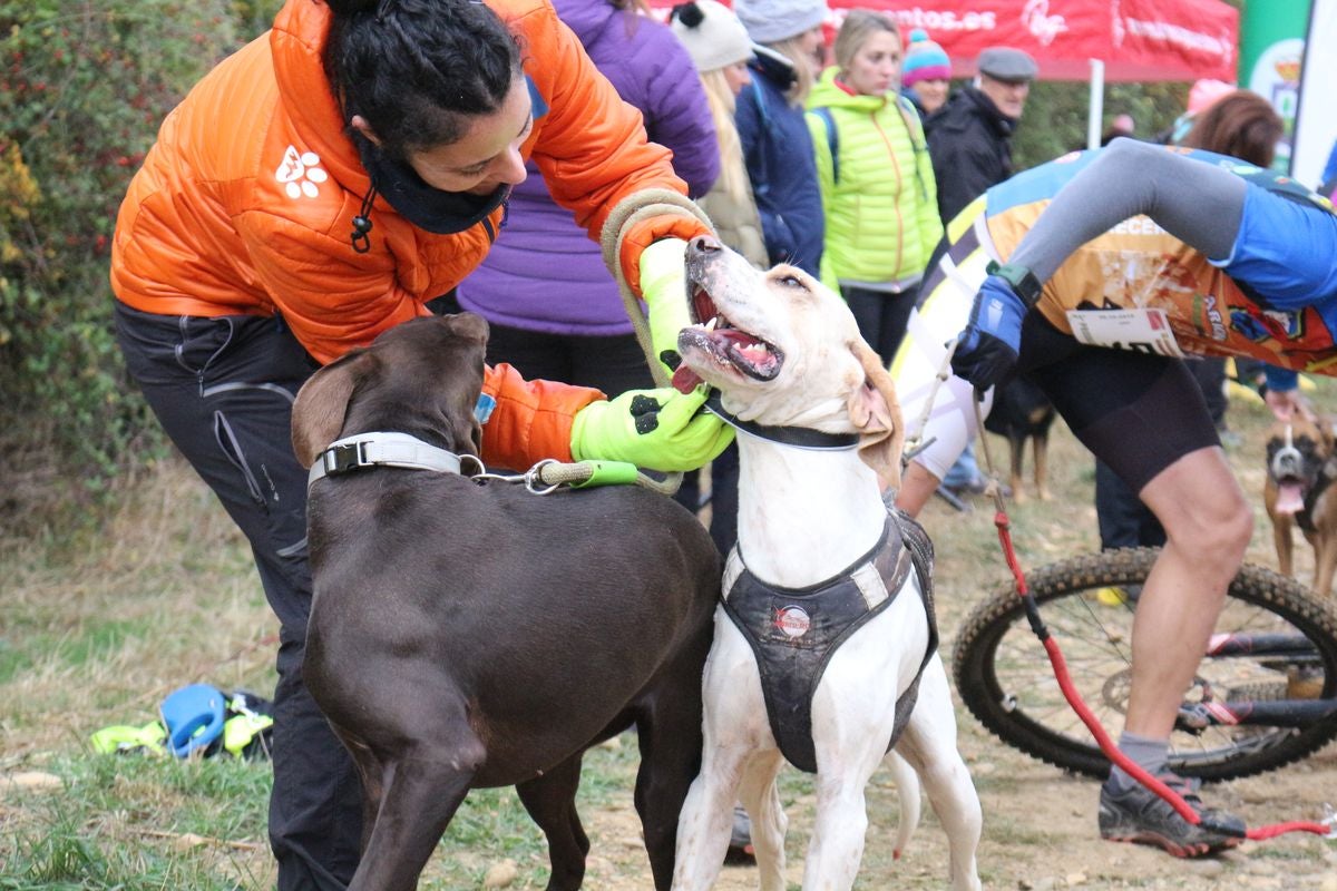Fotos: Valdefresno vive el mushing