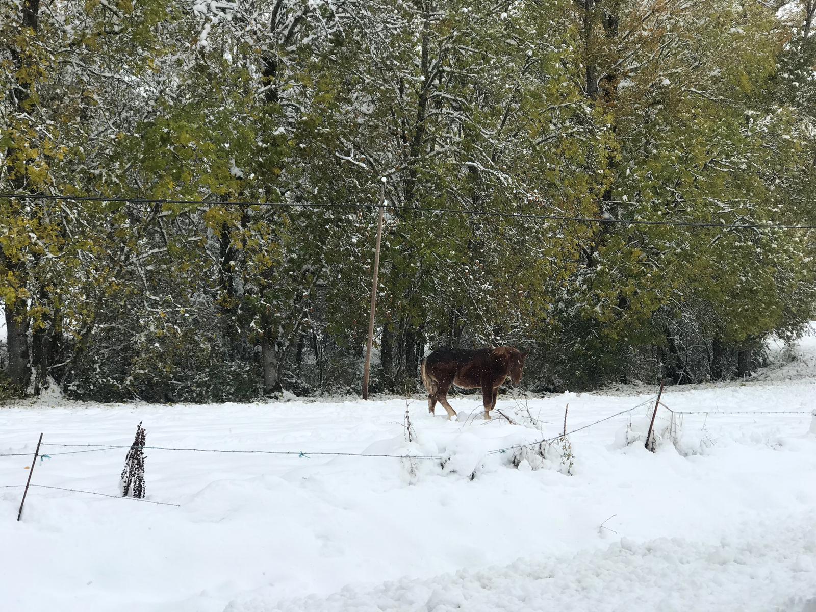 La nieve provoca numerosos problemas en las carreteras de la provincia de León