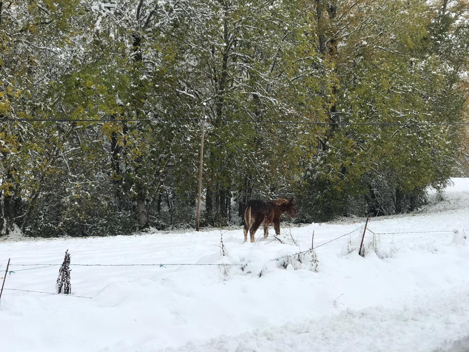 La nieve provoca numerosos problemas en las carreteras de la provincia de León