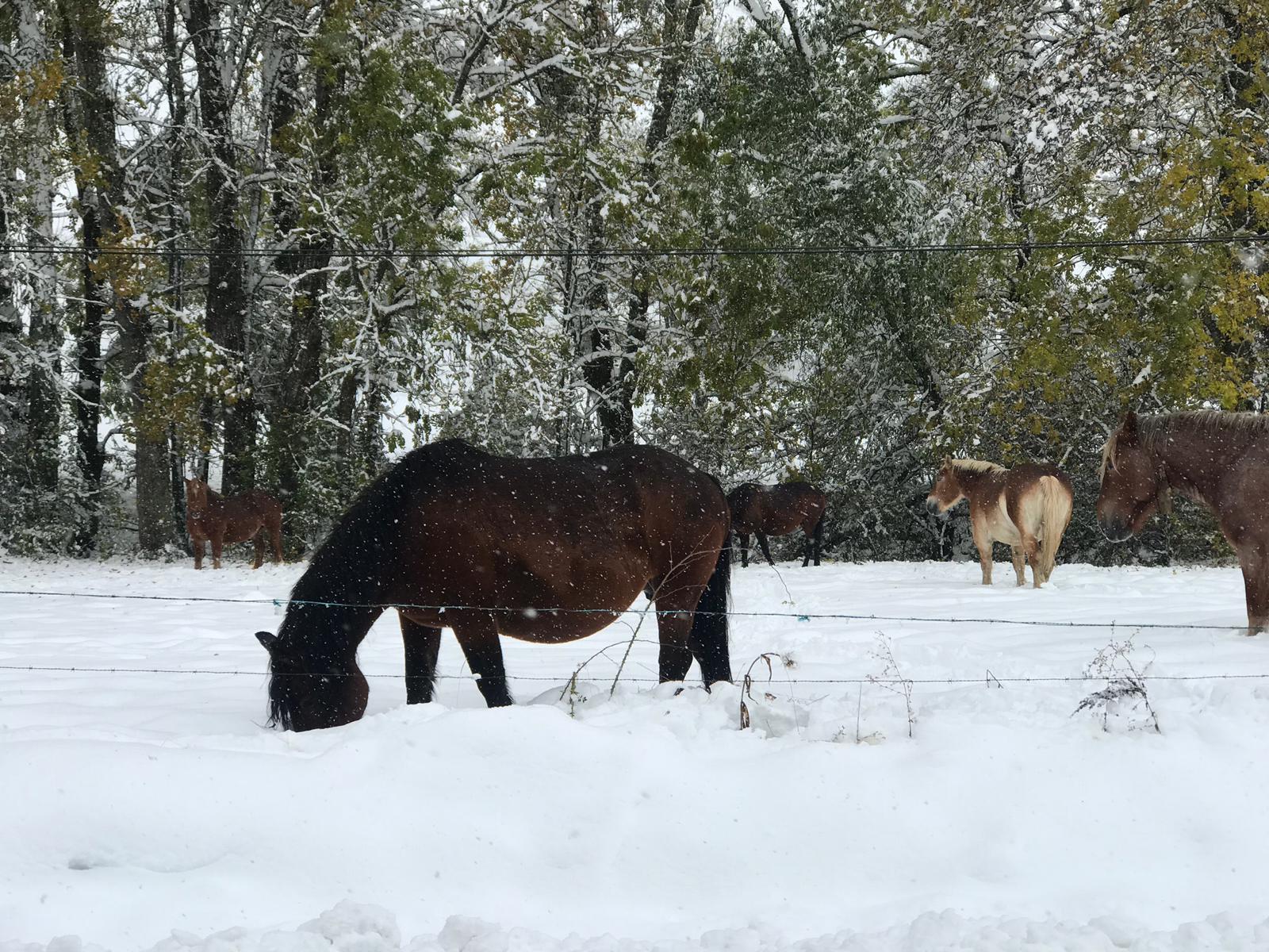 La nieve provoca numerosos problemas en las carreteras de la provincia de León