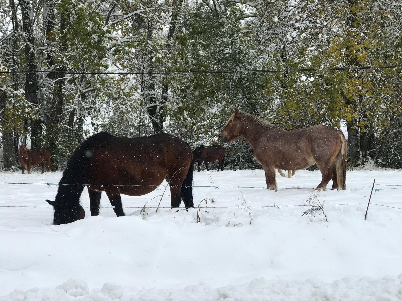 La nieve provoca numerosos problemas en las carreteras de la provincia de León