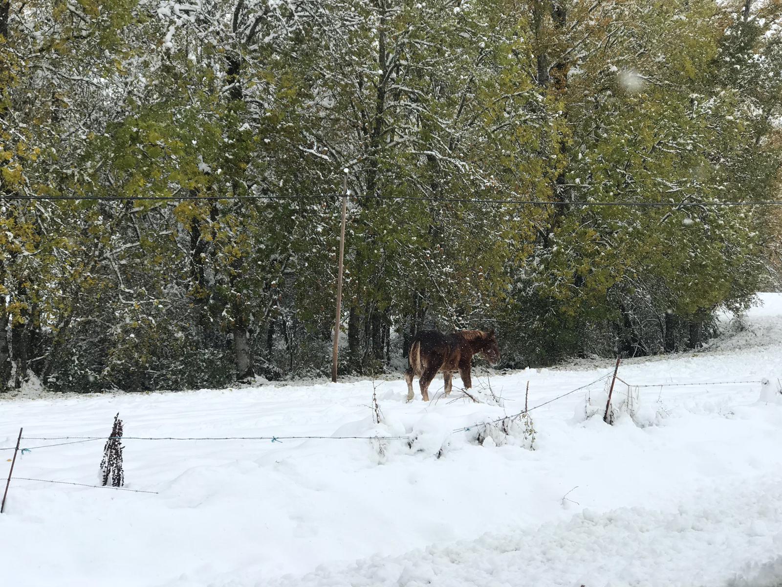 La nieve provoca numerosos problemas en las carreteras de la provincia de León