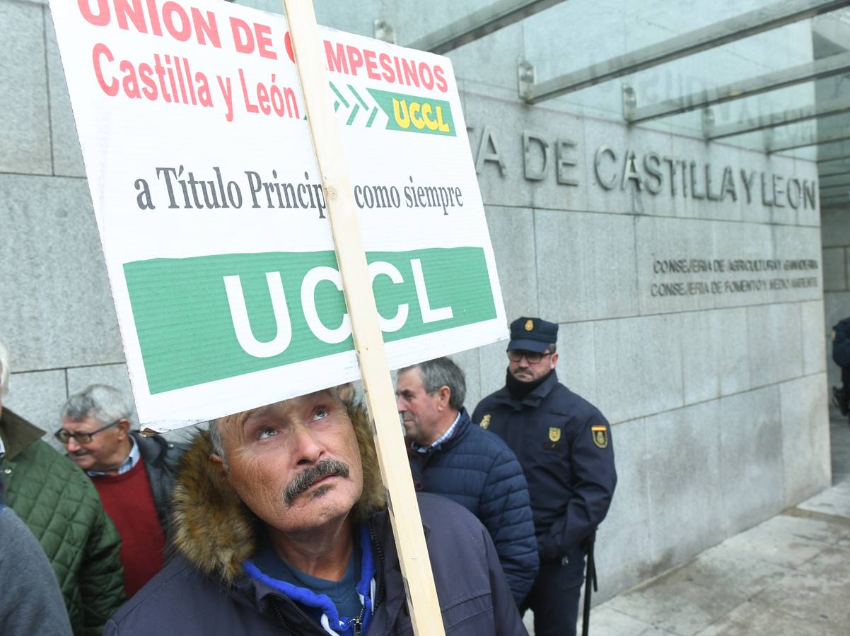 Asaja y UCCL convocan una protesta frente a la Consejería de Agricultura en defensa de unas explotaciones que acumulan 80 millones en pérdidas desde 2016