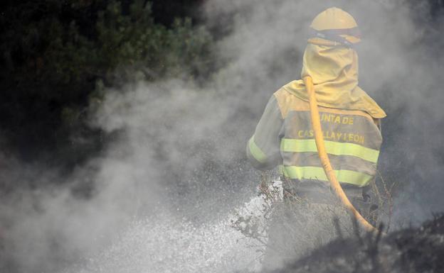 Un agente medioambiental sofoca un incendio. 