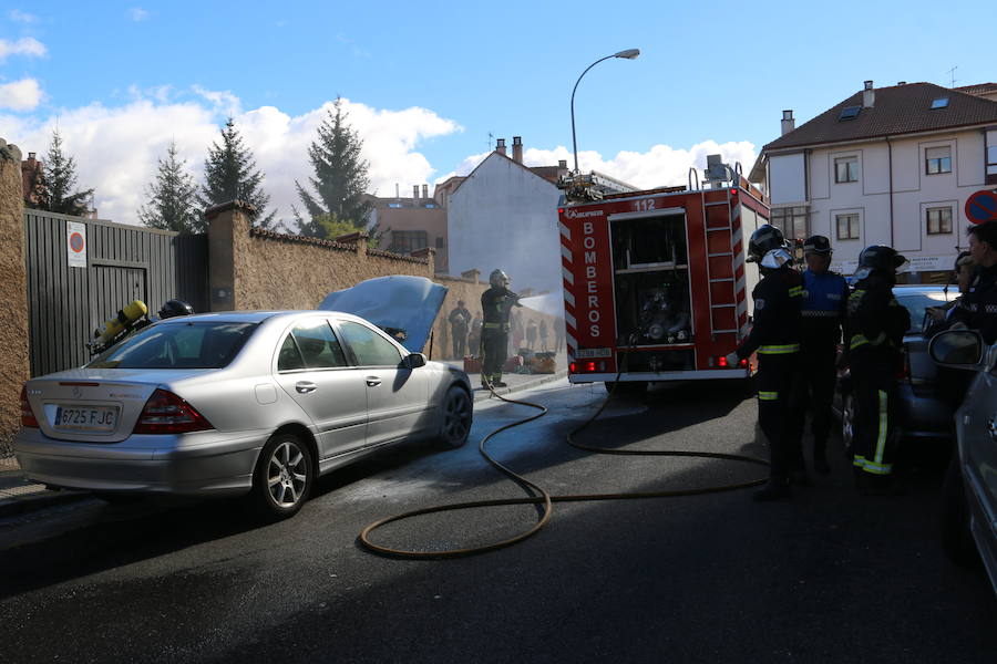 Al suceso, que se produjo sobre las 12.30 horas de este viernes, acudieron una dotación de Bomberos y varias patrullas de la Policía Local