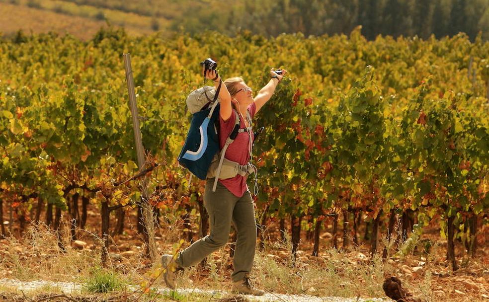 Una peregrina camina entre los viñedos del Bierzo en pleno otoño.