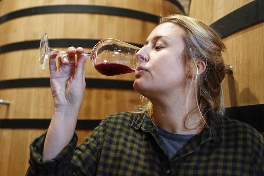 Fotos: Vendimia en los viñedos de la bodega Fuentes del Silencio situada en Herreros de Jamuz