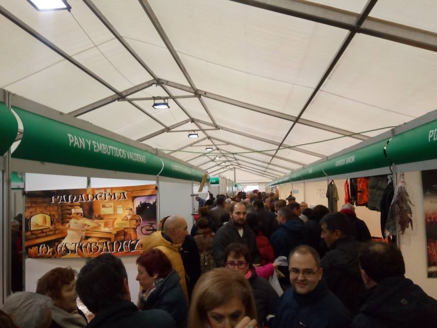 Fotos: Mansilla de las Mulas celebra la feria de San Martín