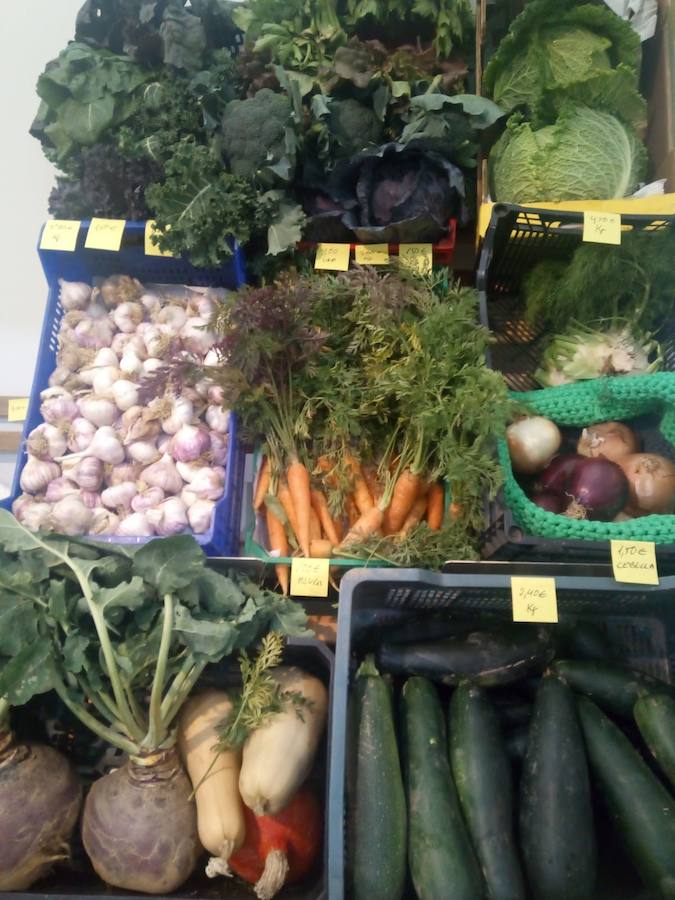 Fotos: Mansilla de las Mulas celebra la feria de San Martín