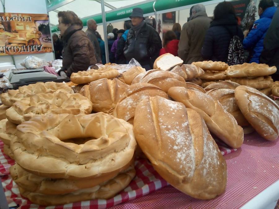 Fotos: Mansilla de las Mulas celebra la feria de San Martín