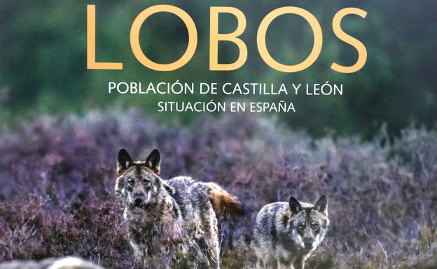 La Editorial Rimpego edita un libro con un detallado censo del lobo ibérico en Castilla y León