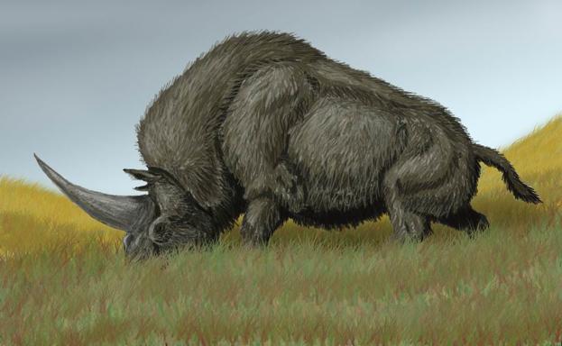 Elasmotherium sibiricum