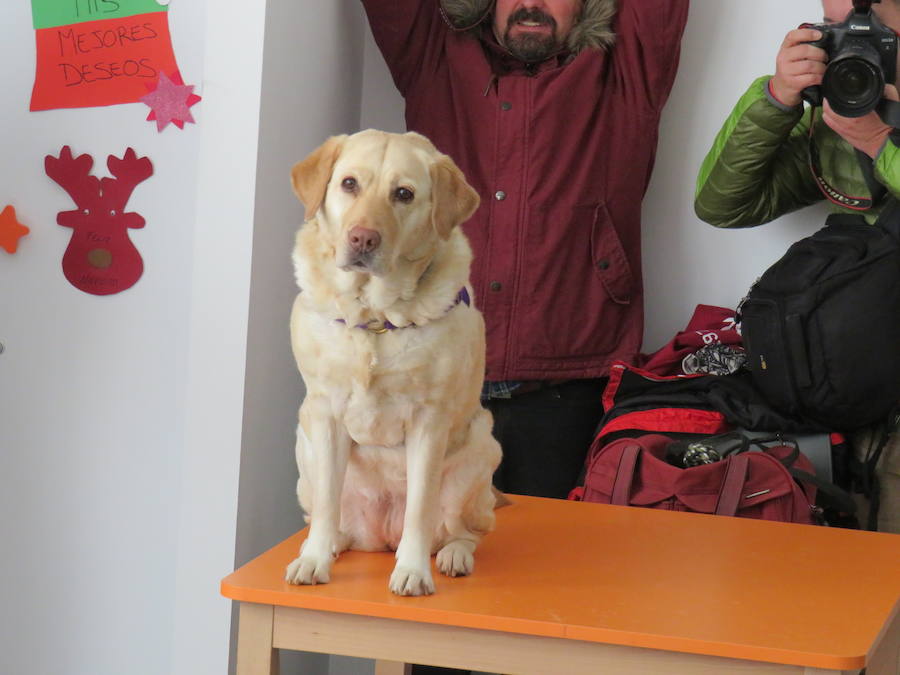 Fotos: Terapia con perros en Alfaem León