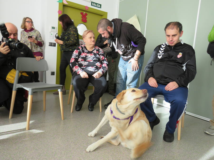 Fotos: Terapia con perros en Alfaem León