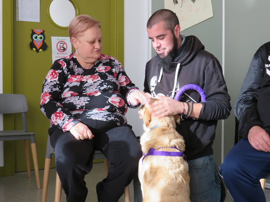 Fotos: Terapia con perros en Alfaem León