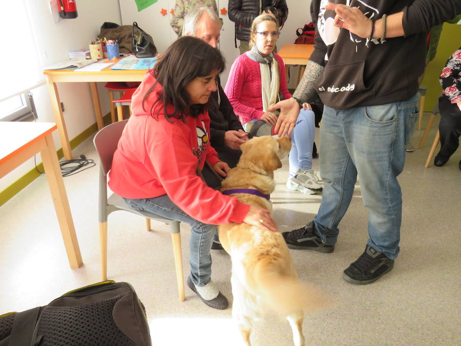 Fotos: Terapia con perros en Alfaem León