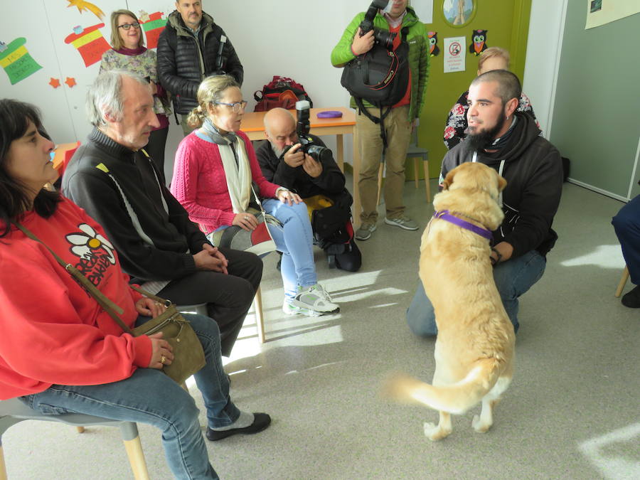 Fotos: Terapia con perros en Alfaem León