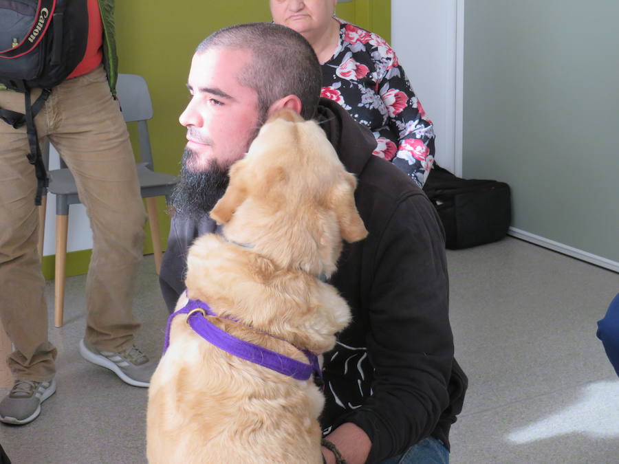 Fotos: Terapia con perros en Alfaem León