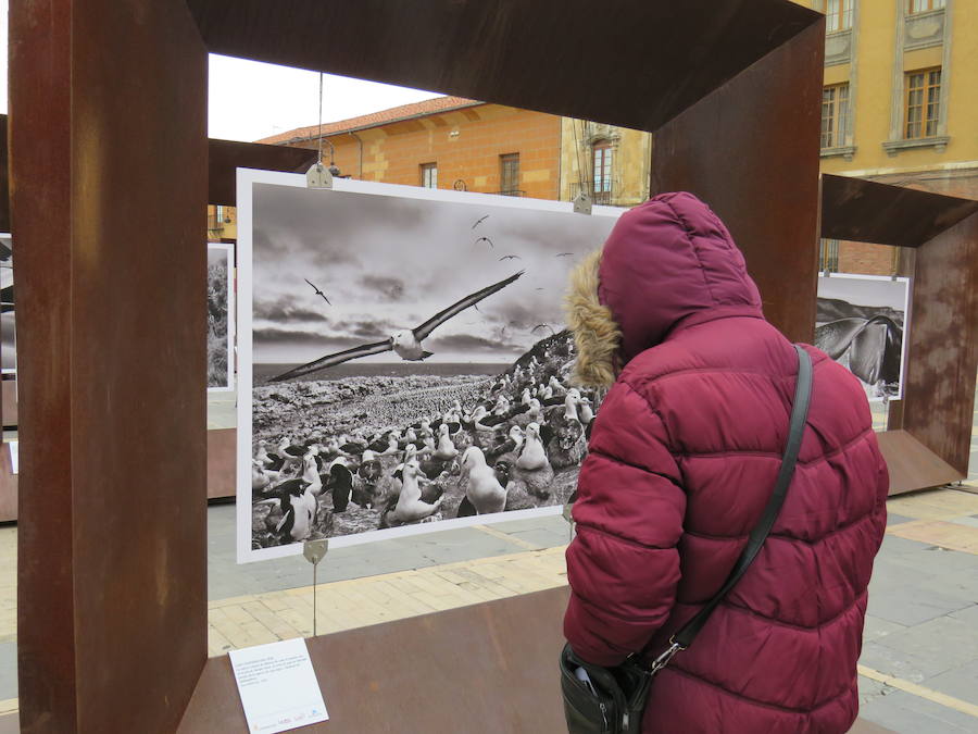 El primer teniente de alcalde, Fernando Salguero, el director de Área de Negocio de CaixaBank en León, Carlos Arruti, y el representante de la obra de Sebastião Salgado en España, Miguel González, inauguran la exposición 'Sebastião Salgado. Génesis. Arte en la calle'.