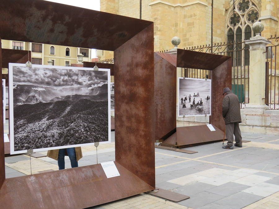 El primer teniente de alcalde, Fernando Salguero, el director de Área de Negocio de CaixaBank en León, Carlos Arruti, y el representante de la obra de Sebastião Salgado en España, Miguel González, inauguran la exposición 'Sebastião Salgado. Génesis. Arte en la calle'.