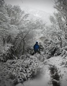 Imagen secundaria 2 - El Catoute ya tiene su belén