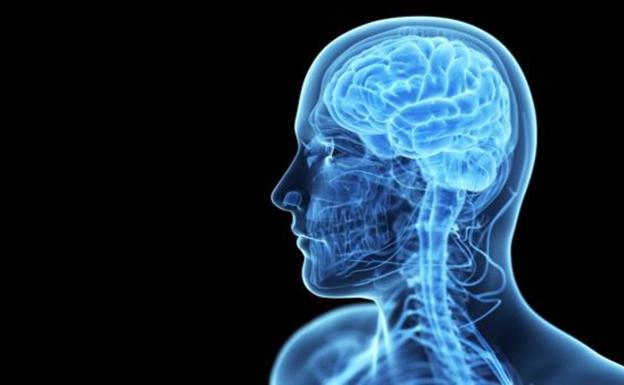 Desarrollan un «marcapasos cerebral» para tratar la epilepsia y el párkinson