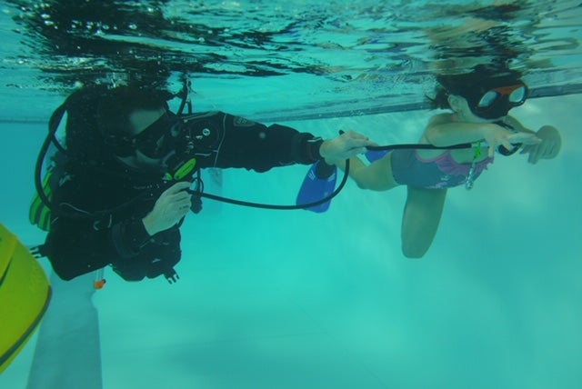 Fotos: Buceo solidario en León