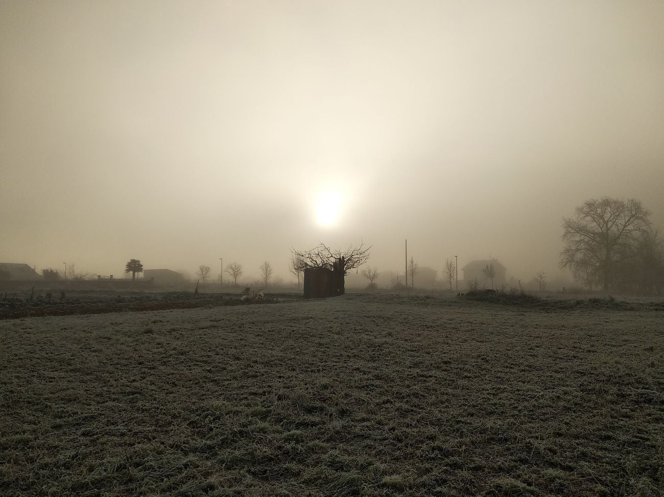 Niebla, frío y helada en el Bierzo