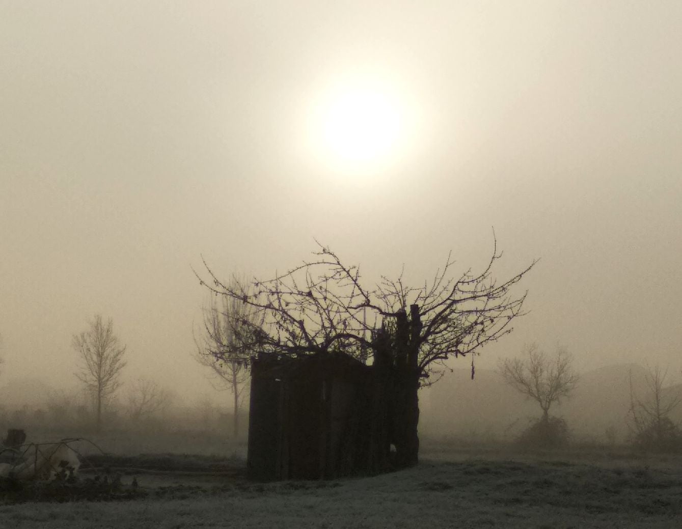 Niebla, frío y helada en el Bierzo