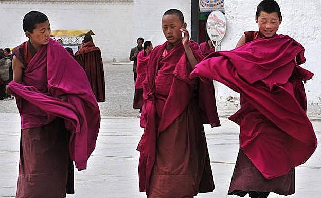 Jóvenes monjes tibetanos. 