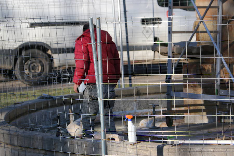 Fotos: Trabajos de limpieza en la fuente de Neptuno