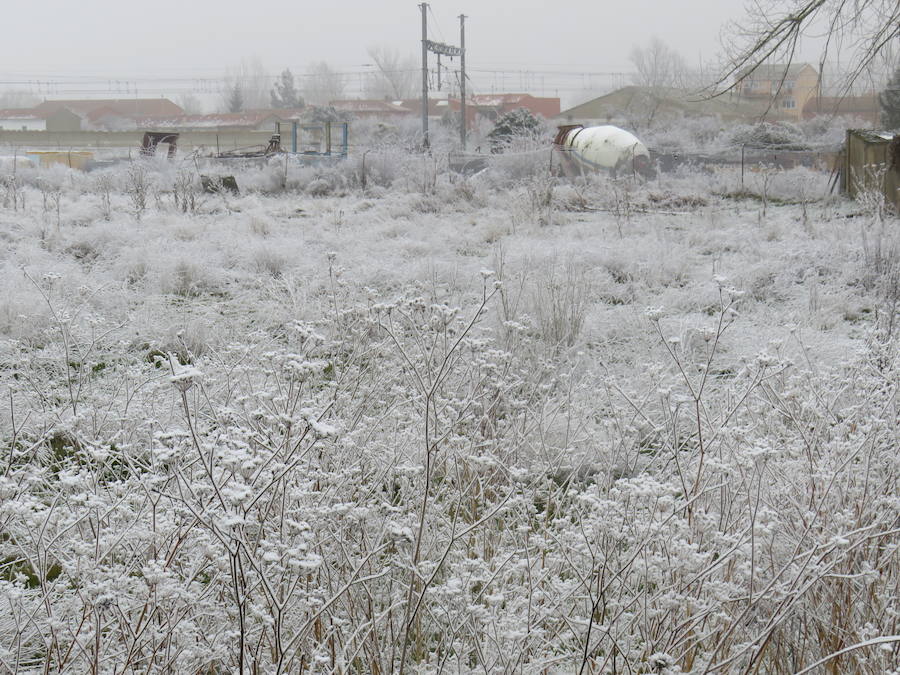 Fotos: Imágenes de la helada en León