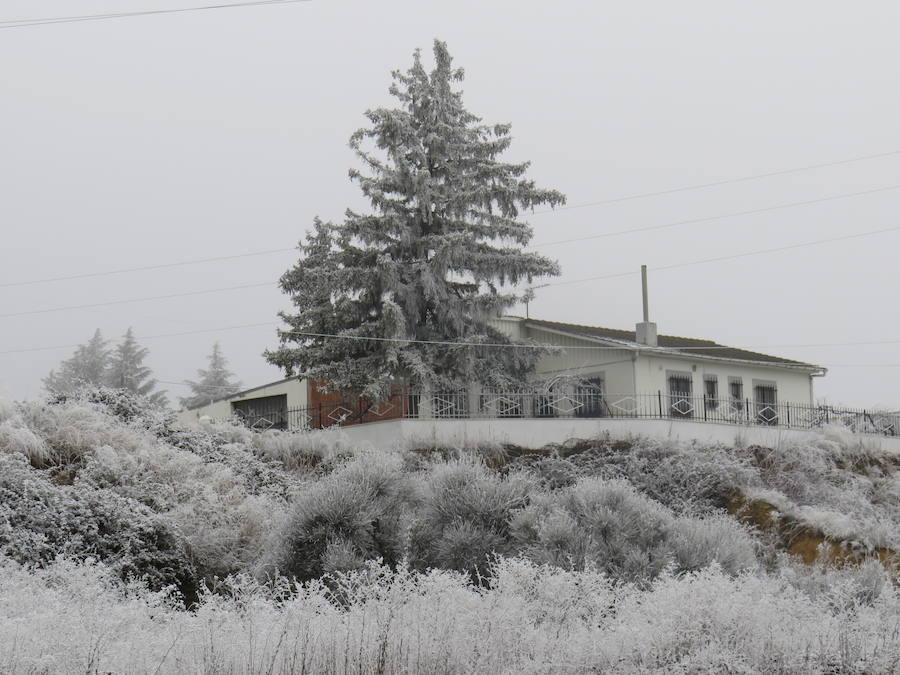 Fotos: Imágenes de la helada en León