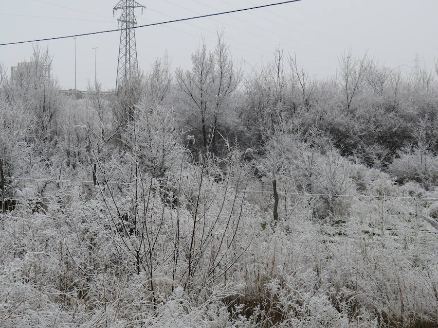 Fotos: Imágenes de la helada en León