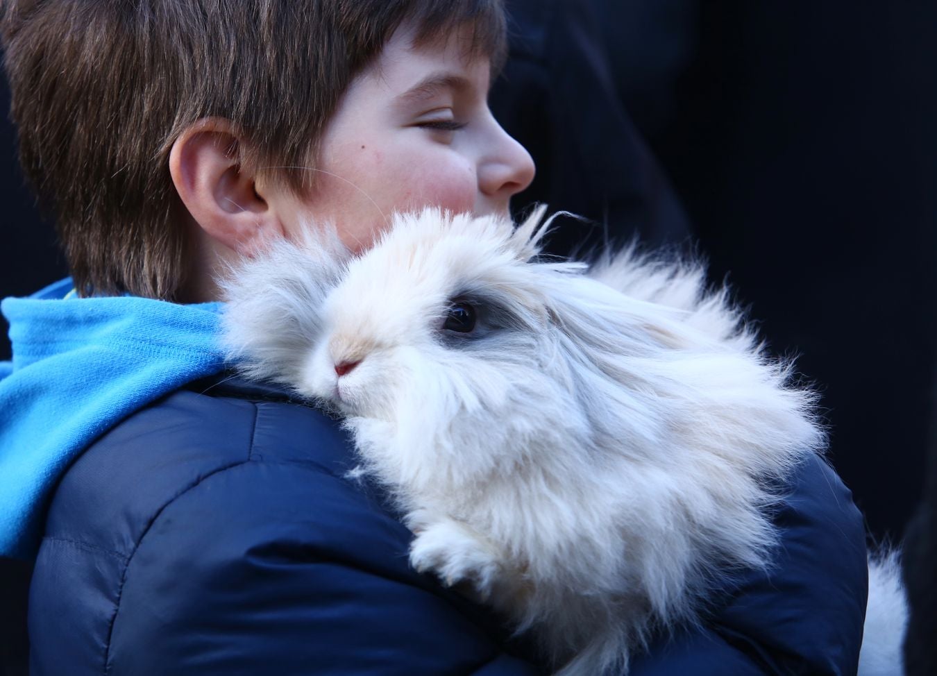 Tradicional bendición de animales por la festividad de San Antón en Cacabelos