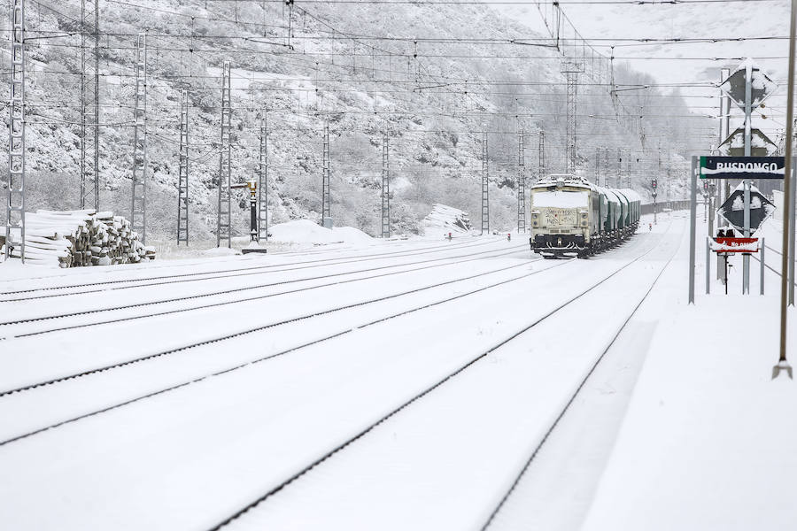 Fotos: Imágenes de nieve en Pajares, Cármenes y Busdongo