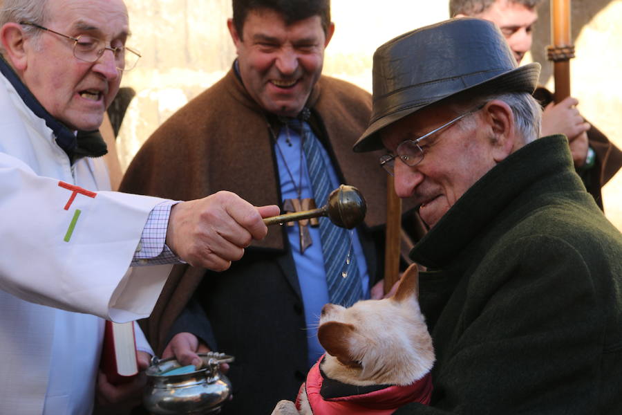 Decenas de leoneses se encomiendan a San Antón para preservar la salud de sus mascotas en un tradicional festejo donde los perros se convierten en los verdaderos reyes de León 