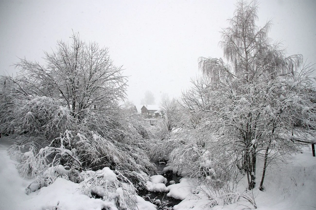 La nieve se instala en la provincia de León. La cota de nieve cae hasta los 800 metros en una provincia en alerta naranja.