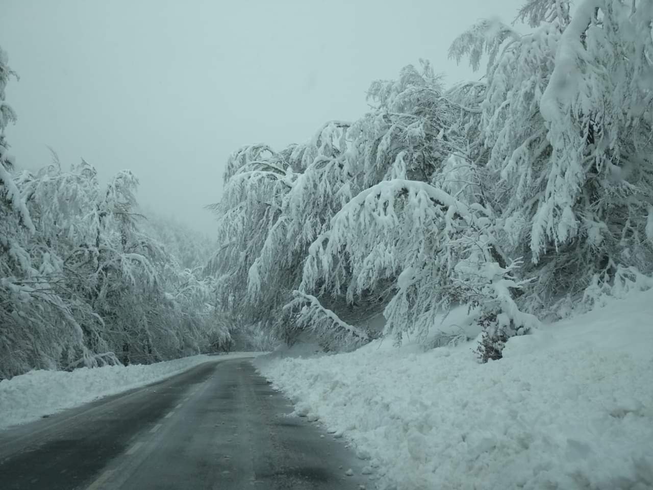 La nieve se instala en la provincia de León. La cota de nieve cae hasta los 800 metros en una provincia en alerta naranja.